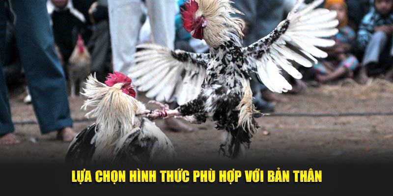 Lựa chọn hình thức đá gà U888 phù hợp