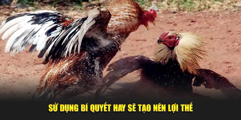 Tìm hiểu về mẹo chơi từ chuyên gia U888